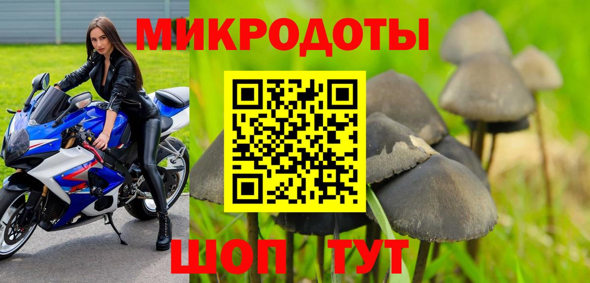 Псилоцибиновые грибы Psilocybine cubensis Усолье-Сибирское